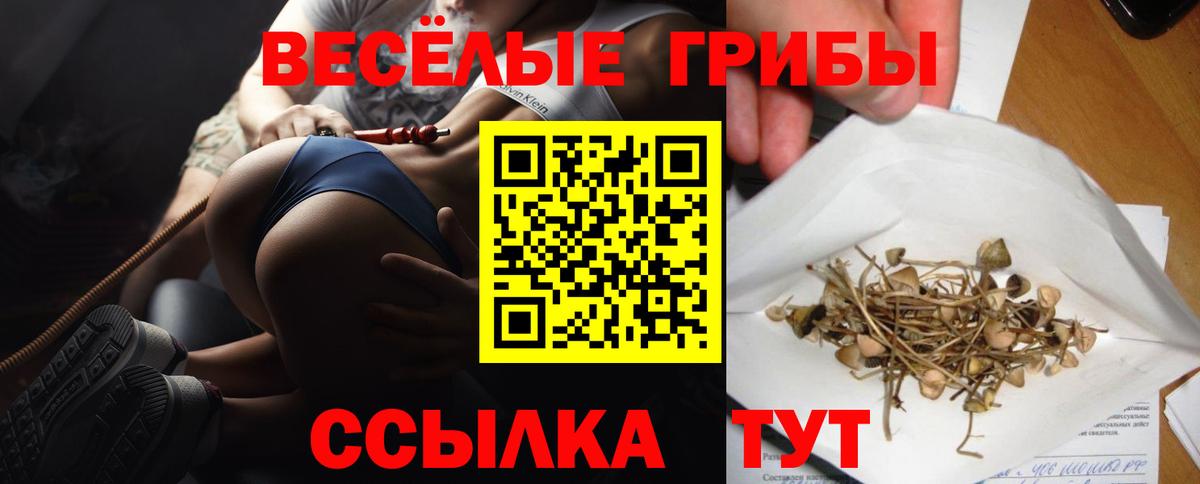 Торжок  Псилоцибиновые грибы прущие грибы  Вход с VPN 