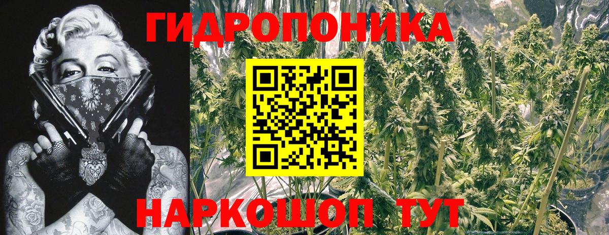 Канабис Bruce Banner Торжок